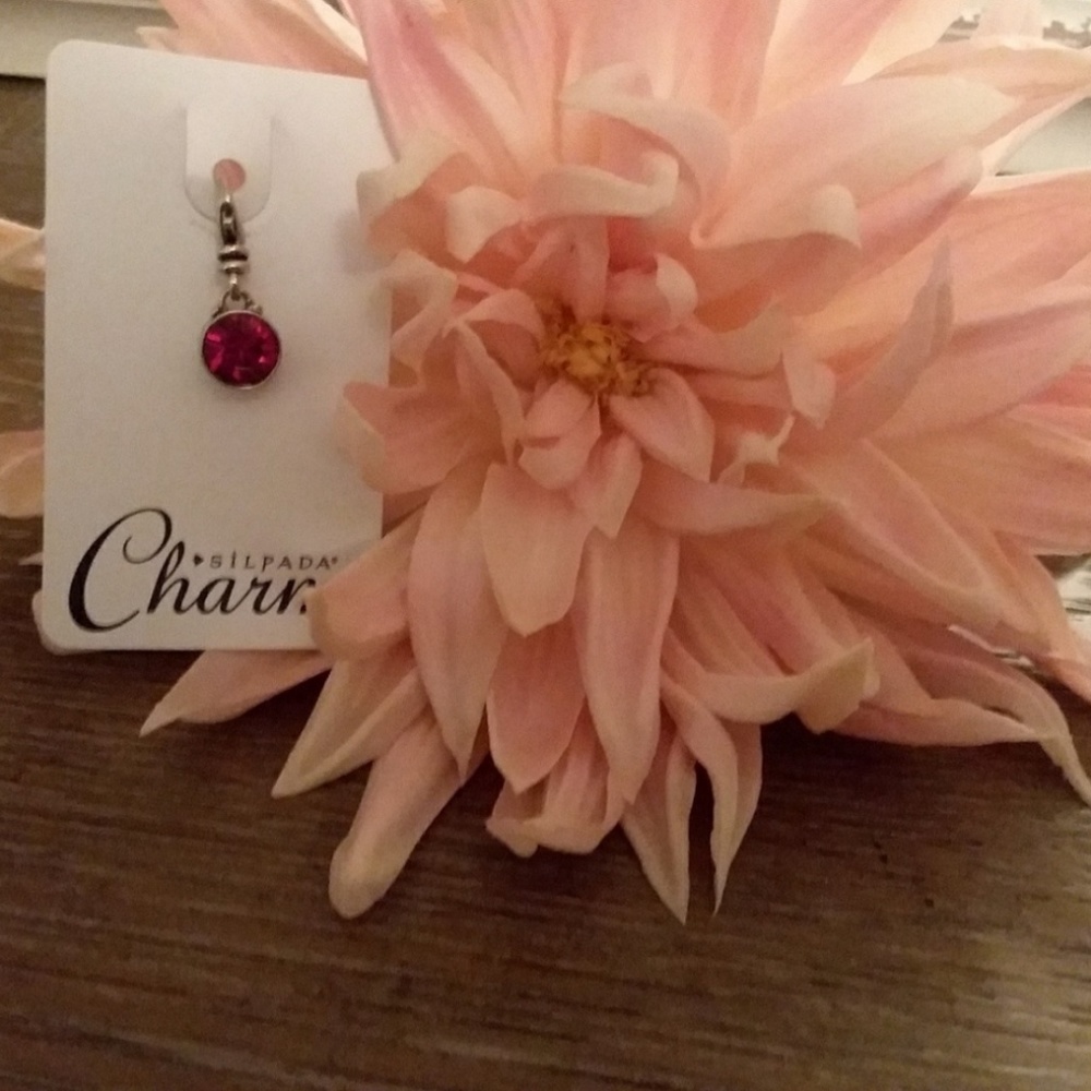 NWOT Silpada ruby charm
